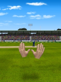New Star Cricket review - Another sport gets the Star treatment 
